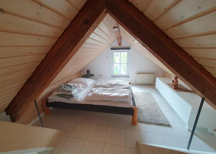 Zentrale Dachwohnung In Sha